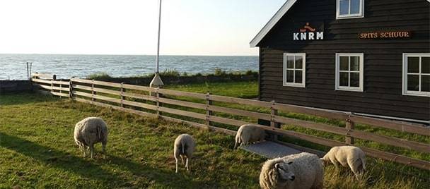 Friesland mit dem hausboot entdecken